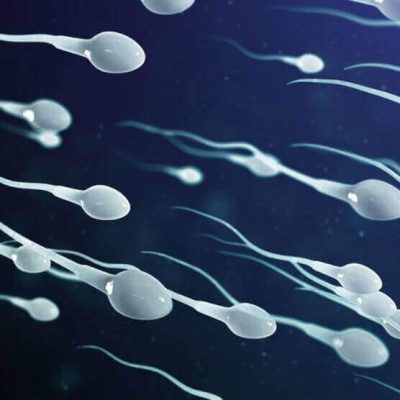 8 Most Effective Tips To Improve Your Sperm Count Naturally