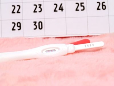 The Complete Guide to Ovulation Cycles and Tests