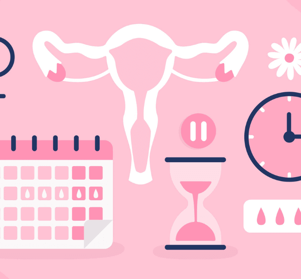 What Are The Phases of The Menstrual Cycle