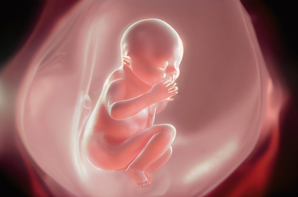 ఎంబ్రియో గ్రేడింగ్ అంటే ఏమిటి? IVF గ్రేడ్స్ పూర్తి వివరాలు