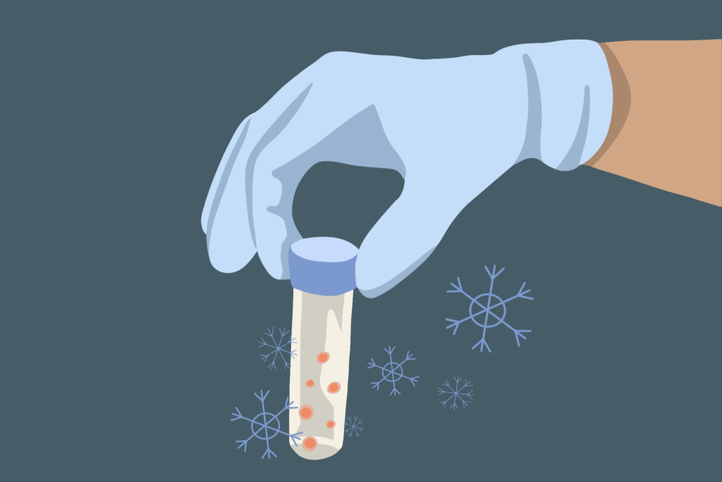 Who Can Opt for Egg Freezing? Exploring Fertility Preservation Options