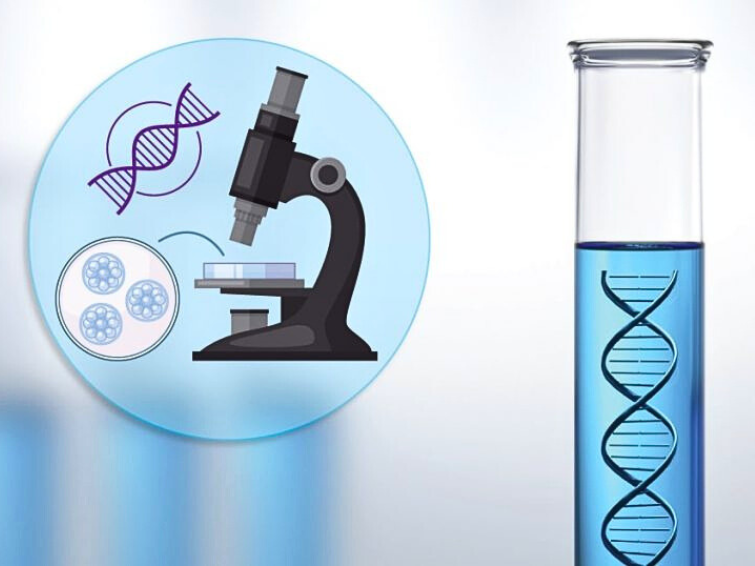 PGT vs PGD: What’s the Difference and Which is Right for You?