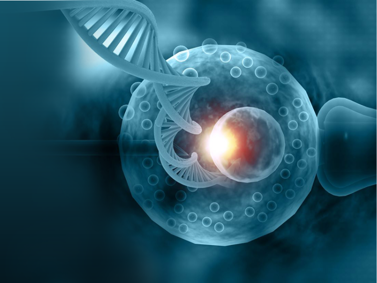 PGT vs PGD: తేడా ఏమిటి మరియు మీకు ఏది సరైనది?