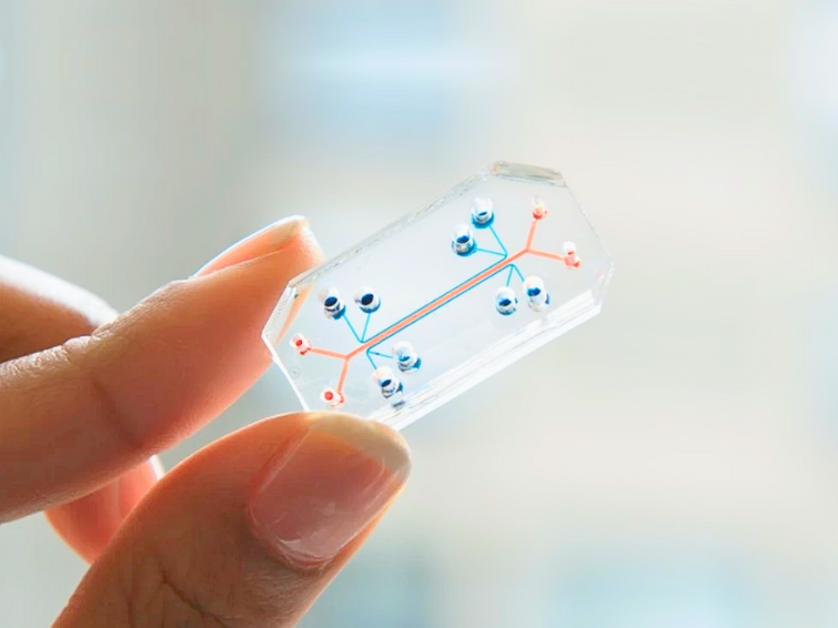 Microfluidics: A New Frontier in Fertility Treatments