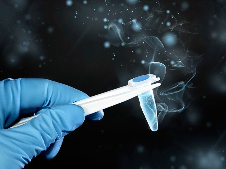 Fertility Preservation Options When Battling Cancer