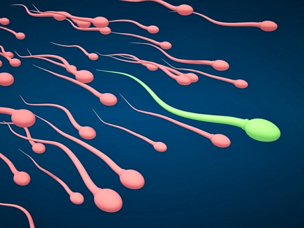 Semen Analysis