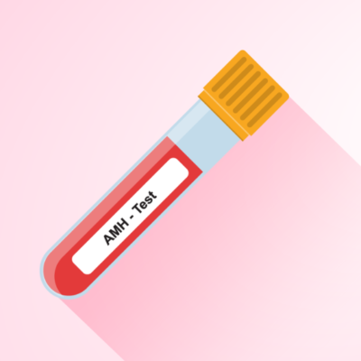 What is an AMH Test