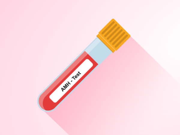 What is an AMH Test