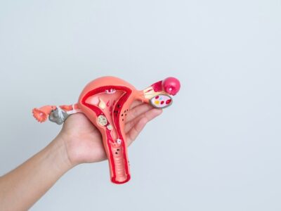 FEMALE REPRODUCTIVE SYSTEM