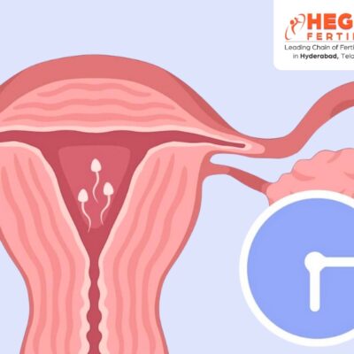Can Sperm Survive Inside the Female Body
