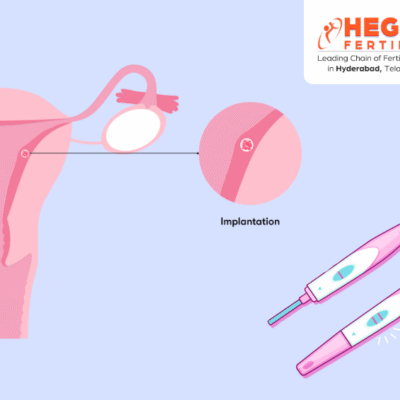 Pregnancy Test After Implantation