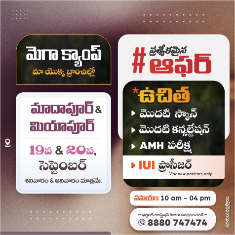 Offer Mobile