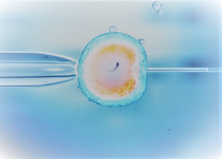 Infertility: Surge among Youngsters, Does IVF have a solution??