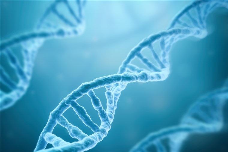 How Family, Genes and Fertility Are Related? An Easy Explanation