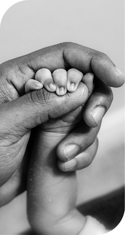 Hegde Fertility