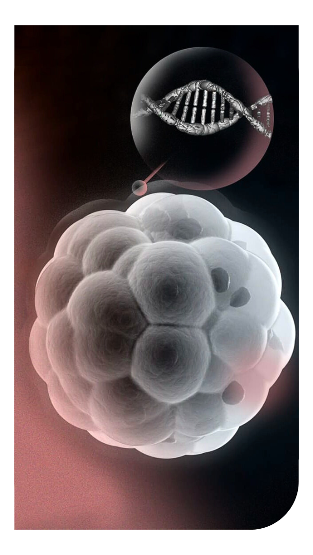 Hegde Fertility Untitled design aHegde Fertility()