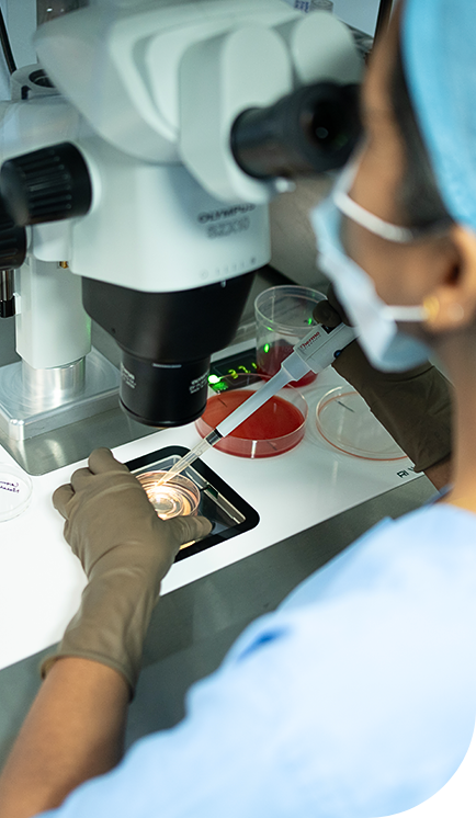 ivf IVF - Hegde Fertility